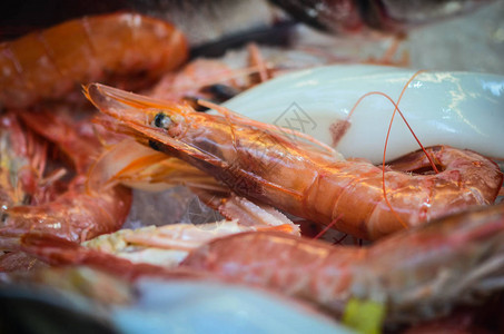 清蒸海鲈鱼当地意大利鱼市场内的新鲜背景