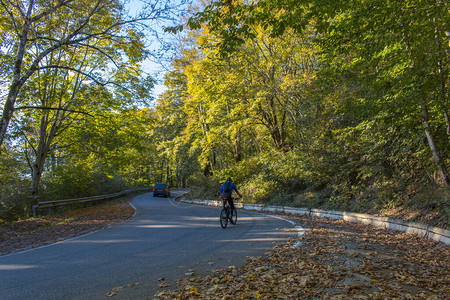 山地自行车骑自行车在春天鼓舞人心的森林景观男子骑自行车运动健身图片