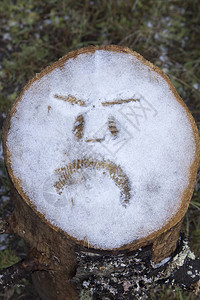 在北爱达荷州的树桩上被雪所吸图片