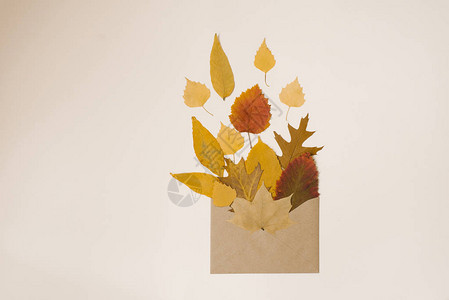 秋天的贺卡彩色黄落叶信封的创意设计以信封形式的花图片