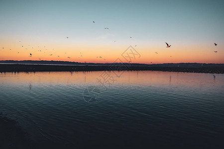 抽象的海景在海滩的日落和鸟群图片