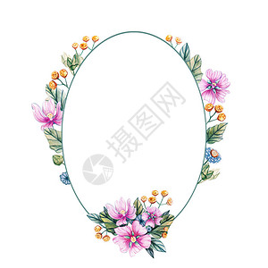 水彩插图与椭圆形的野花框架为婚礼花卡有粉红色的花朵叶子和锦葵的花蕾秋季夏季和春季图片