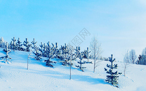 有雪的冬天路在芬兰欧洲拉普兰景观骑行期间沿高速公路的森林白雪皑的旅行冷车道在北罗瓦涅米村的芬兰高速公路上行驶背景图片