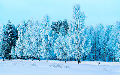 有雪的冬天路在芬兰欧洲拉普兰景观骑行期间沿高速公路的森林白雪皑的旅行冷车道在北罗瓦涅米村的芬兰高速公路上行驶背景图片