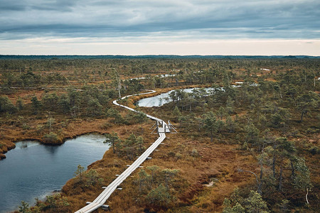 拉脱维亚Kemeri公园大茂物轨迹周围Bog湿图片