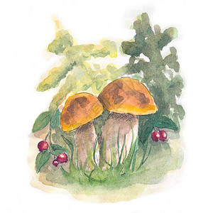 在童话森林里一只大白水色蘑菇用来展示儿童书籍图片