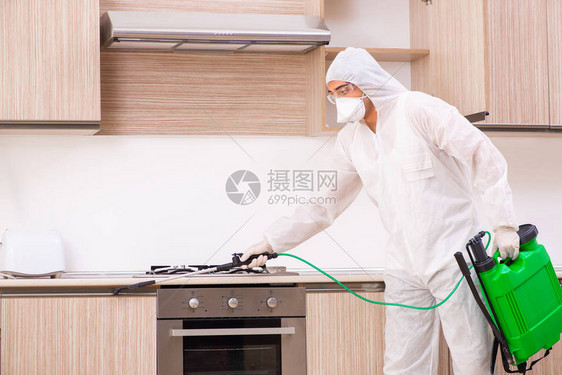 厨房害虫防治专业承包商图片