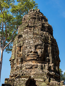 柬埔寨吴哥窟的塔普伦被联合国教科文组织列入世界遗产名录图片