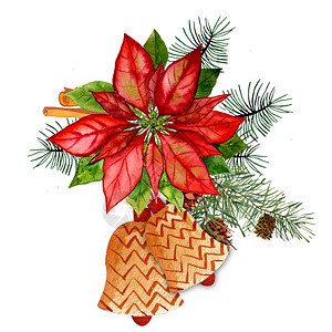 圣诞设计的组成一品红云杉树枝浆果圣诞贺卡图片