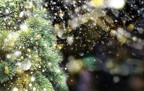 高清图片冬天有雪飘落的圣诞树高清图片圣诞夜飘落的雪花高清图片雪夜