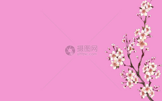 粉红色背景图案海报横幅创意设计2020年快乐节日文化亚洲装饰开花图片