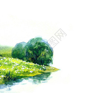 手绘水彩颜料素描雾霾风景在白纸卡背景文本空间上绿色雨雾平静的野杨树冷杉植物谷乡村公园溪湾背景图片