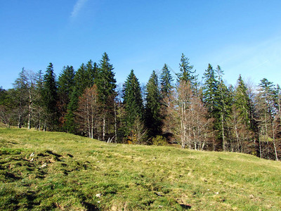 Alpstein山脉和莱茵河谷Rheintal圣加仑州SG图片