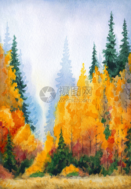 手绘水彩颜料素描纸图案背景艺术品针叶林湿雾天风景云雾景观上的空间鲜红橙色野干草植物陆地丙烯图片