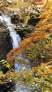 日本山形市的银山温泉街图片