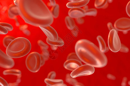 血和红血细胞图片