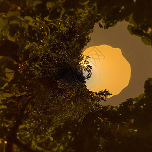 小燕子星球保护区圣路易斯波托西图片