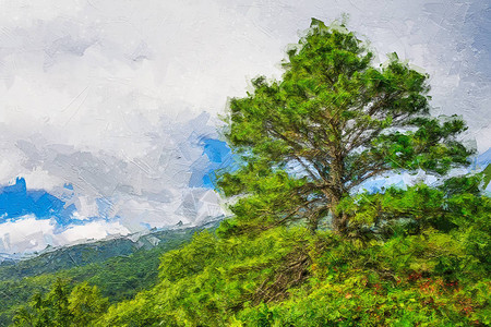 阿巴拉契亚山脉一棵秋树的印象风格艺术作品图片