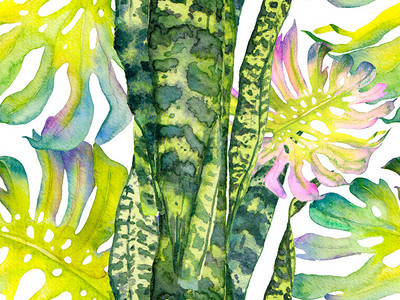 橙色和绿色夏季花卉背景植物森林插图异国情调的泳装设计夏威夷水彩画