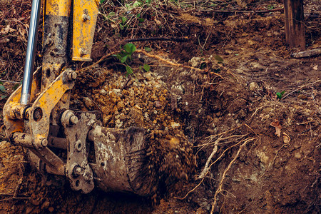 挖掘机将土壤挖入森林并根植树木根部图片