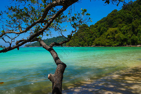 泰国素林岛海热带岛图片