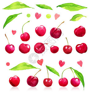 樱桃新鲜樱桃美味可口的多汁果叶收获市场生态水彩色孤立明背景图片