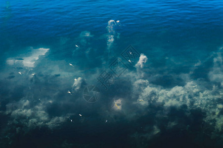 深蓝色海底背景抽象图案纹理和颜色水生物海洋生活背景自然背景图片
