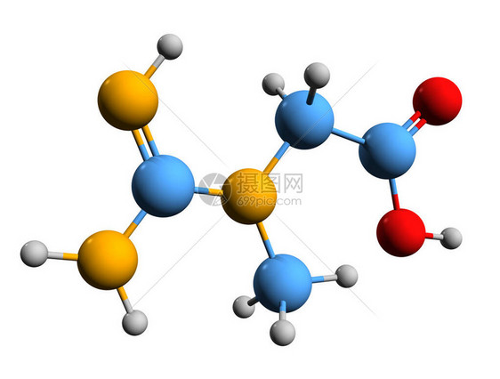 3D白底孤立的甲基guanidoacetic酸分子化学结构Krieatine骨骼配图片