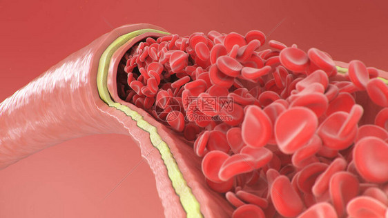 3d动脉静脉内红细胞的插图健康的动脉横截面血流科学和医学微生物学概念富含氧气图片
