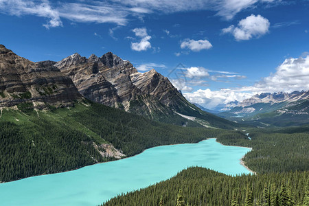 美丽的佩托湖加拿大艾伯塔图片