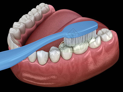 牙刷清洁牙齿口腔卫生的医学上准确的3D插图图片