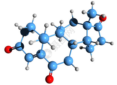 4Androstene3图片