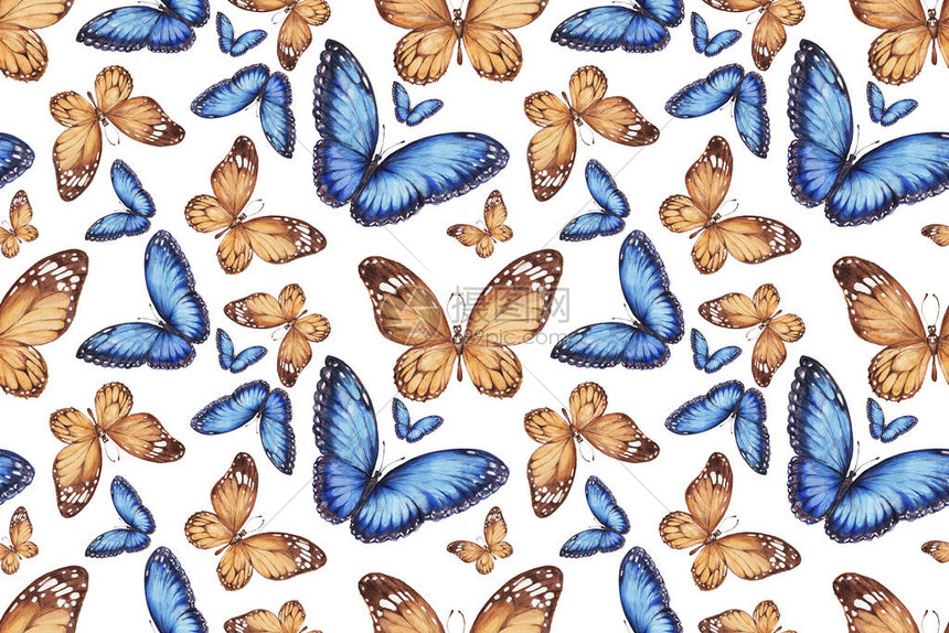 蝴蝶无缝模式手绘水彩插图野生昆虫森林公园复古图片