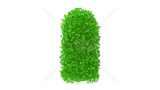 3D灌木绿色花岗岩的三维转化使自然叶图片