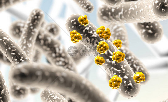 微生物和细菌生物体生物学和科学背景或传染细胞的显微图像的图片