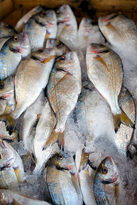 市场上的生鲜海鱼详细照片图片