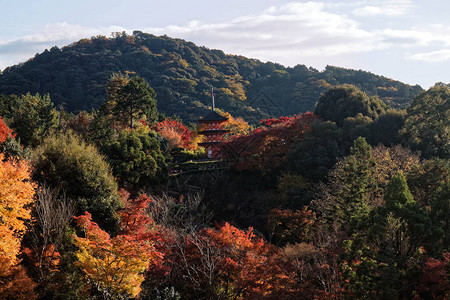 日本秋天风景日本多彩图片