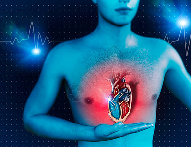 人和心脏人体解剖学心跳和攻击图片