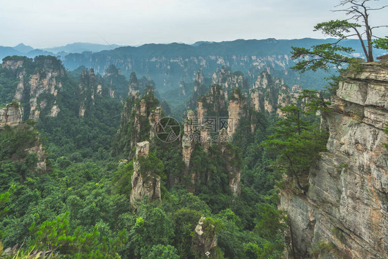 在湖南省伍林源Wwlingyuan著名的旅游景点张家吉公园天津山石柱图片