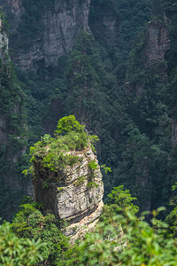 张家吉阿凡山自然公园张家杰图片