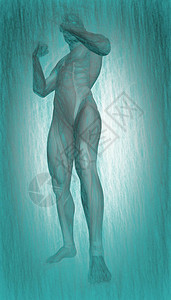 人体解剖学的3d插图图片