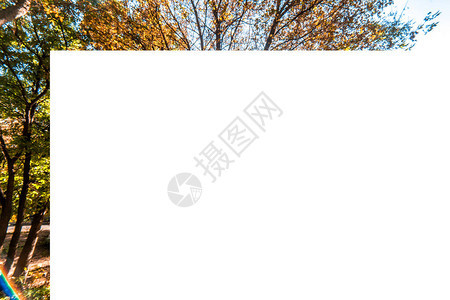 不同秋叶的边框背景秋季主题图片