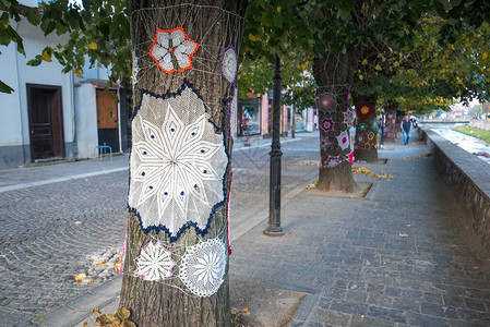 树干上的针织羊毛覆盖物科索沃普里兹伦的传统巴尔干风格针织罩热爱大自然图片
