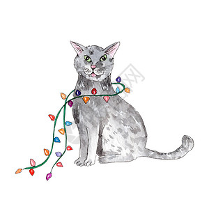 手画水彩色水彩的圣诞猫在白色背景上被孤立适合圣诞节卡图片
