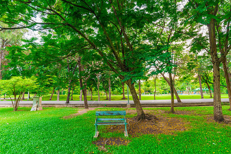 公园在公共树林公园的长椅上图片