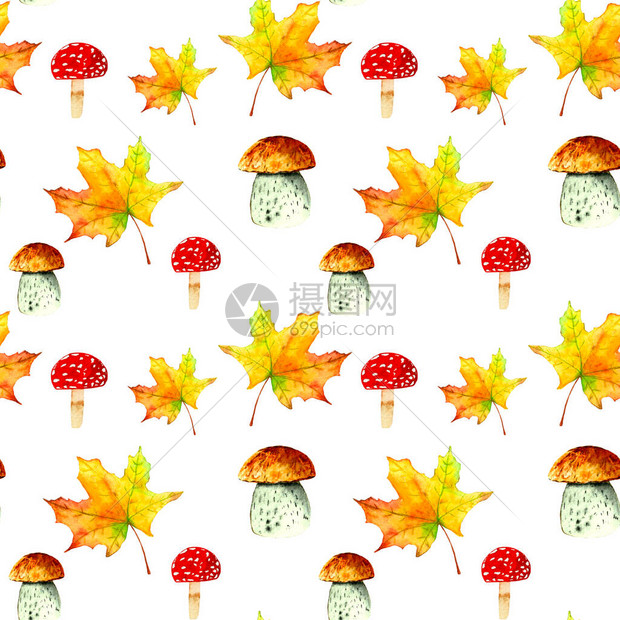 蘑菇飞木耳白蘑菇和枫叶的水彩秋季无缝图案非常适合庆祝丰收包装纸传单餐图片
