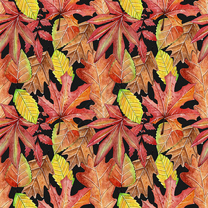 手绘五谷杂粮无缝水彩秋天图案秋天的落叶背景