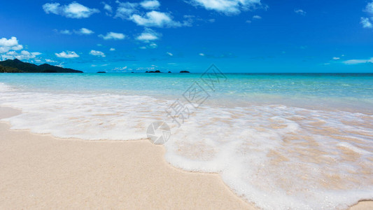 春天海景图片_春天海景素材图片大全