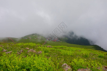 在土耳其东北部的黑海地区Rize地区拍摄了一个名为Gito森林树木玻璃田和雾的山地高原村景象图片