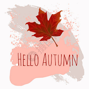 秋叶图标现代简约平面设计中的秋季枫叶秋天的枫叶图片